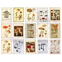Scrapbooking dekoratívny papier v bloku - Typ C, 60 kusov