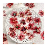 Scrapbooking kvetinové samolepky - Červené, 20 kusů
