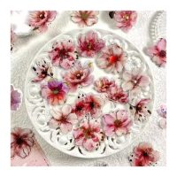 Scrapbooking kvetinové samolepky - Růžové, 20 kusů