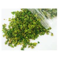 Scrapbooking umenie miniatúrnych listov - Číslo 1, zelená