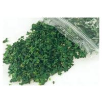 Scrapbooking umenie miniatúrnych listov - Číslo 2, tmavo zelená