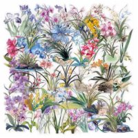 Scrapbooking samolepky - Orchidey, 50 kusov