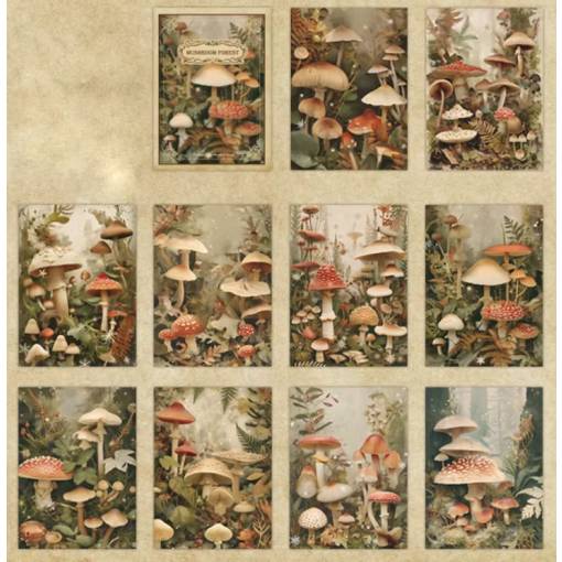 Foto - Scrapbooking blok dekoratívnych papierov - Huby, 20 kusov