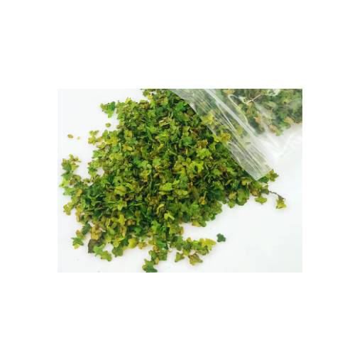 Foto - Scrapbooking umenie miniatúrnych listov - Číslo 1, zelená