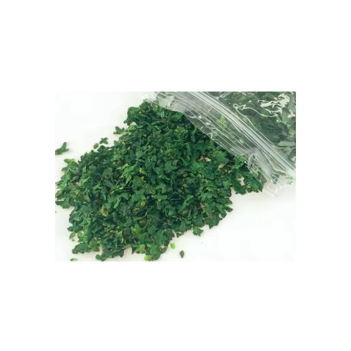 Foto - Scrapbooking umenie miniatúrnych listov - Číslo 2, tmavo zelená