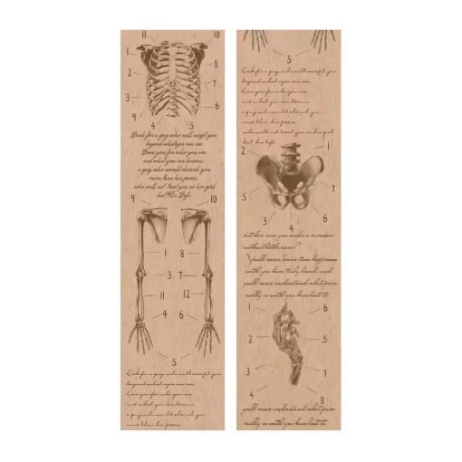 Foto - Scrapbooking Vintage lepiaca páska - Anatomie tela, 01